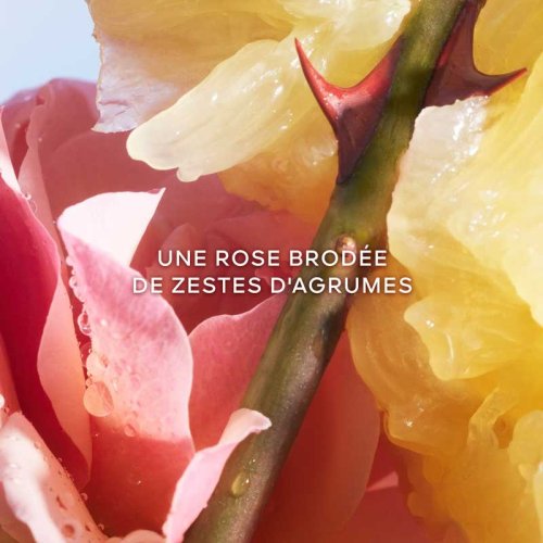 GUERLAIN La Petite Robe Noire - Eau de Toilette 3346470149274 GUERLAIN La Petite Robe Noire - Eau de Toilette 3346470149274